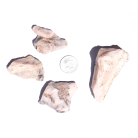 ea22a2feec42ebfc14eaf97574f98e9a.png